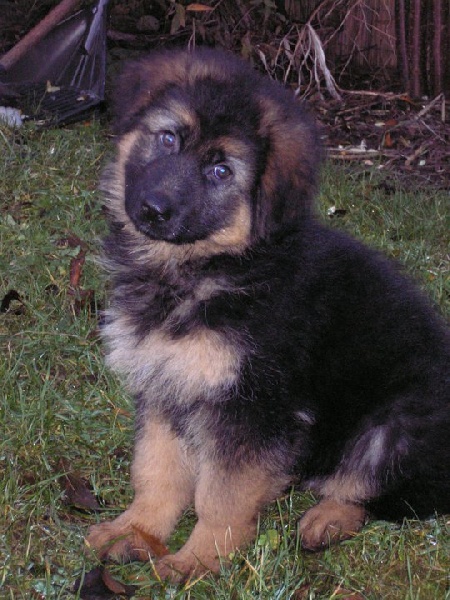 Floyd de l'ode Bellezza